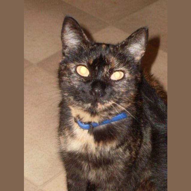 Photo of Krystal (On Trial With Her New Family)