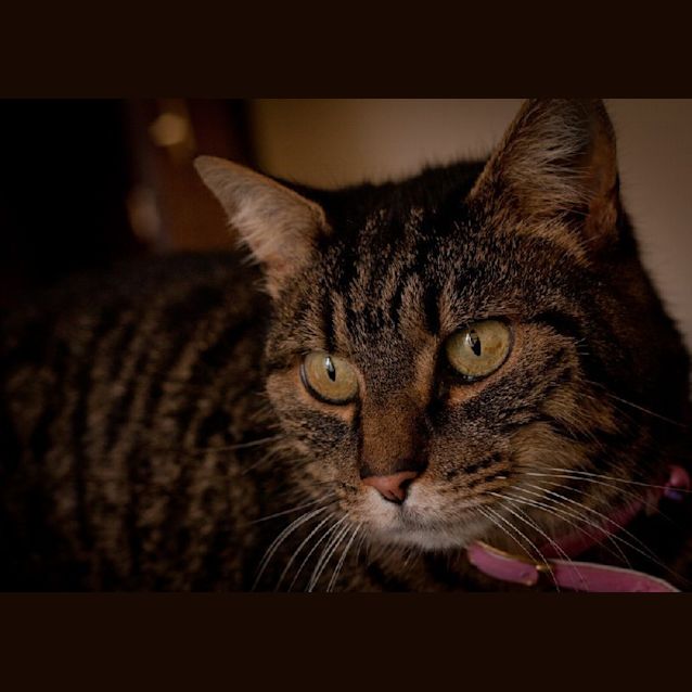Photo of Marcy