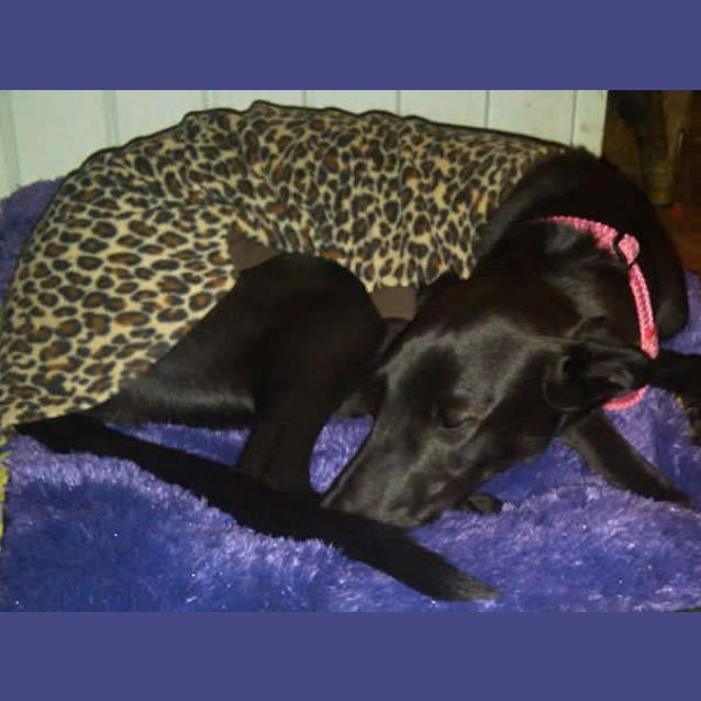 Photo of Lexi