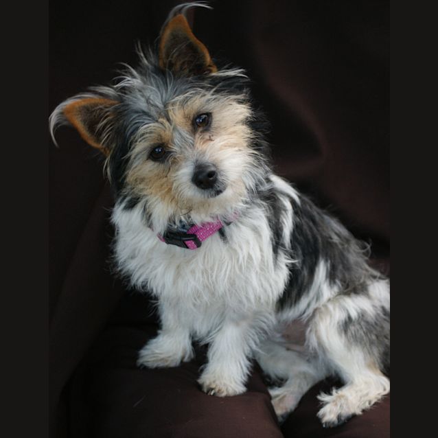 Photo of Zara