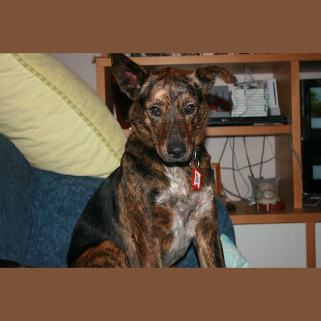 Photo of Abby