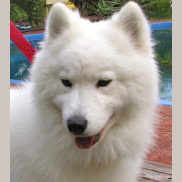 Photo of Maya