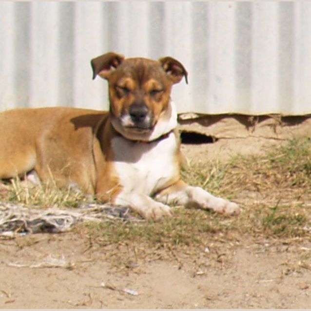 Photo of Marnie