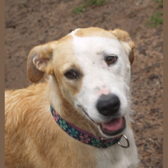 Photo of Molly3