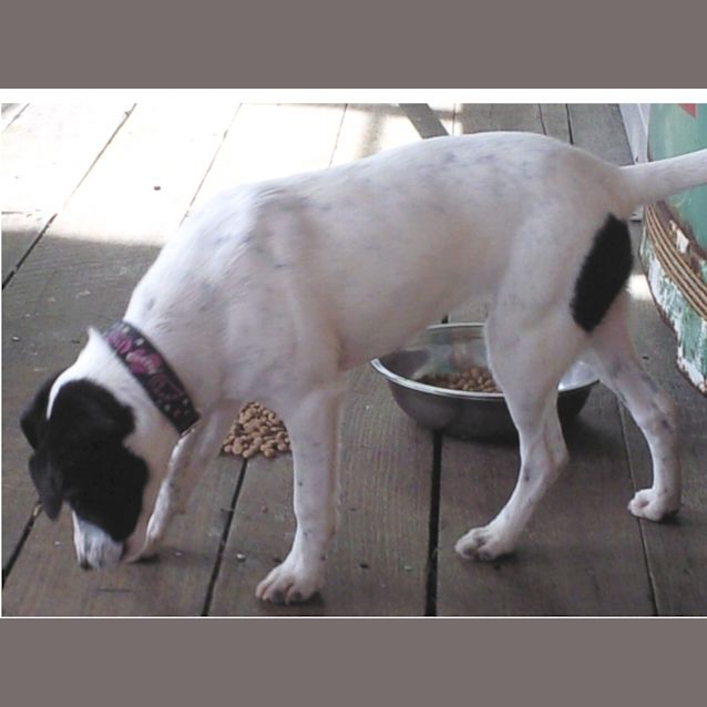 Photo of Evie   On Trial