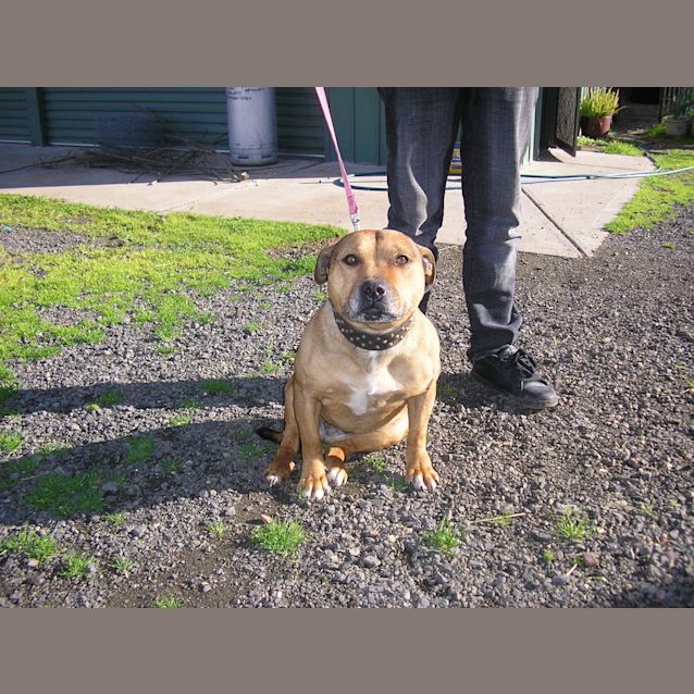 Photo of Coco