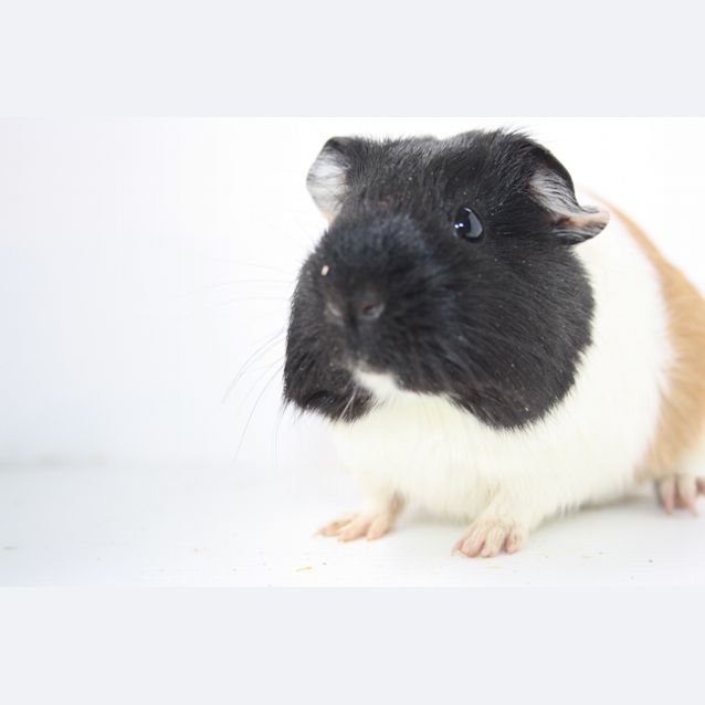 Photo of Ella