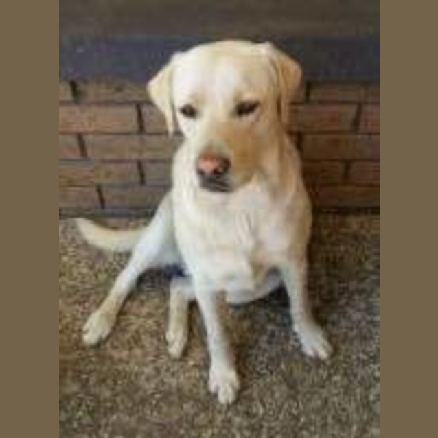 Photo of Jasper