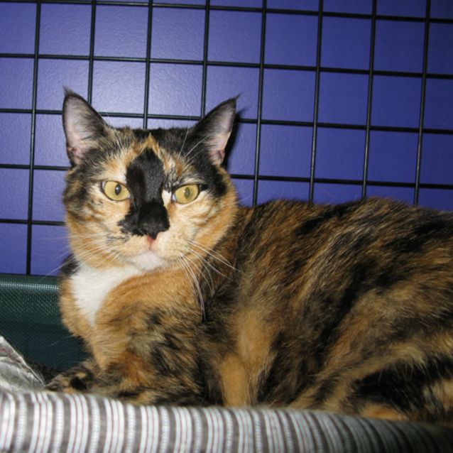 Photo of Lilly