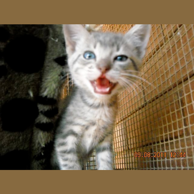 Photo of Max