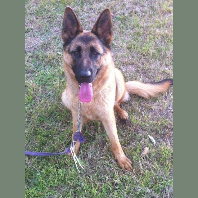 Photo of Mocha