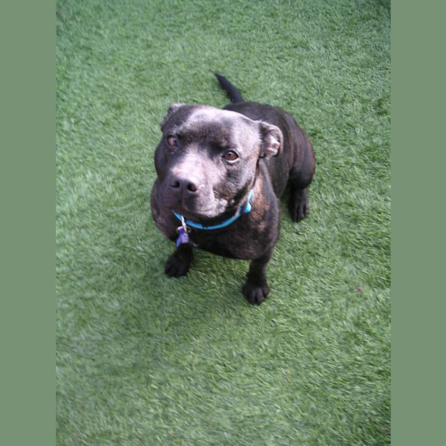 Photo of Paqui