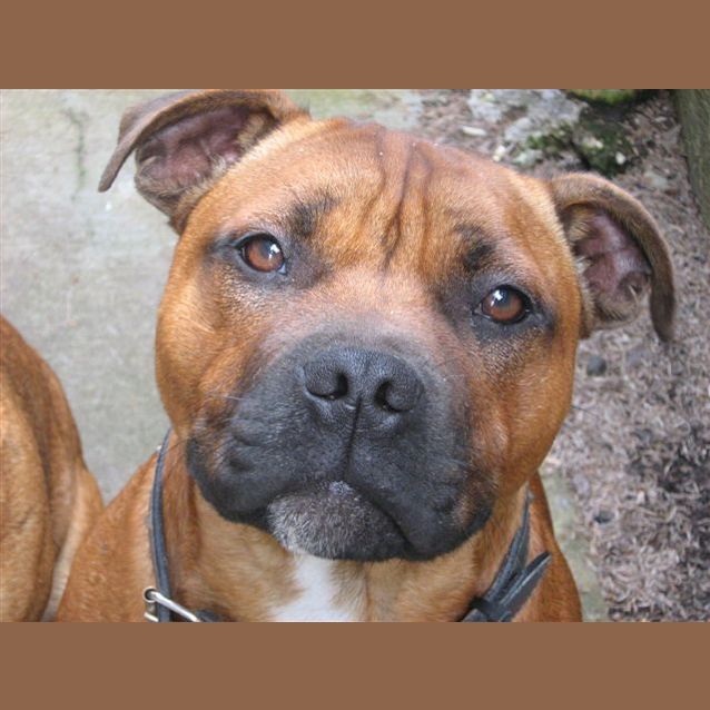 Photo of Ruben