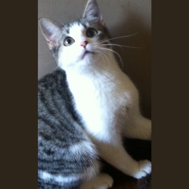Photo of Myla