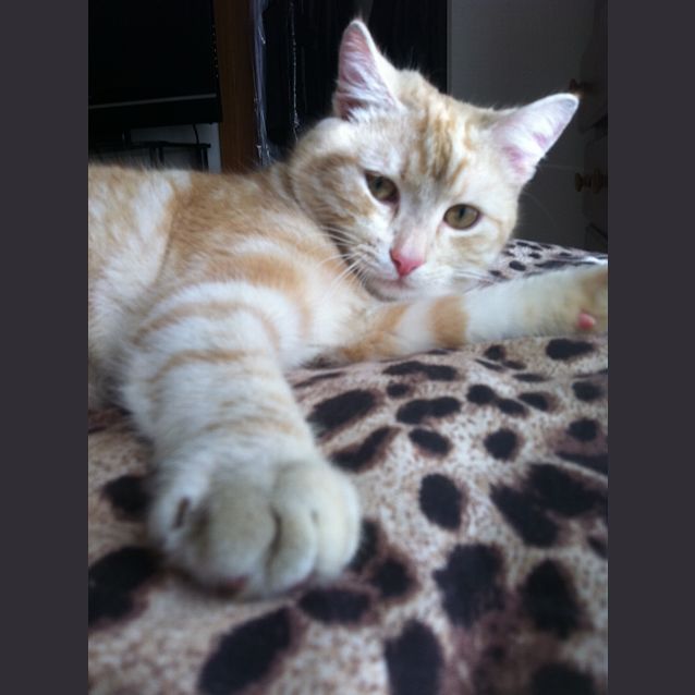 Photo of Dermot *On Trial In His New Home!*