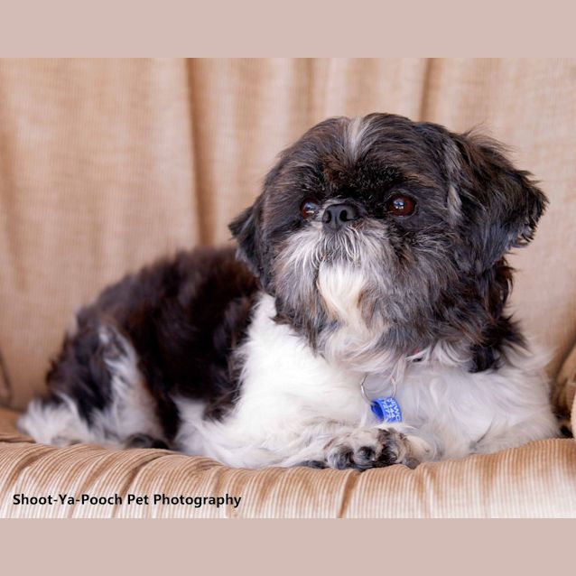 Photo of Abby (On Trial)