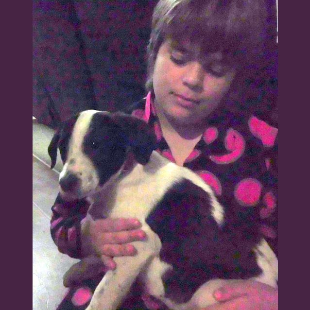 Photo of Adoption Pending!!!!Polly