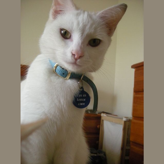 Photo of Winter *On Trial In Her New Home!*