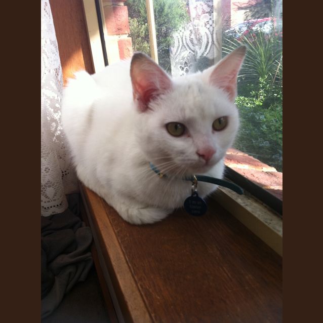 Photo of Winter *On Trial In Her New Home!*