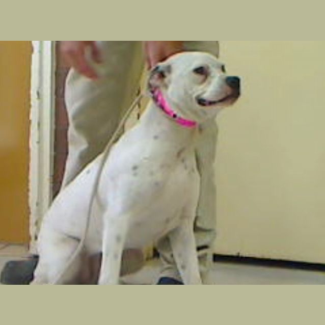 Photo of Lilly