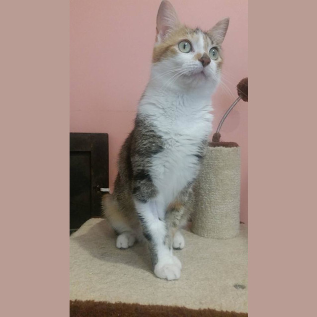 Photo of Jemima