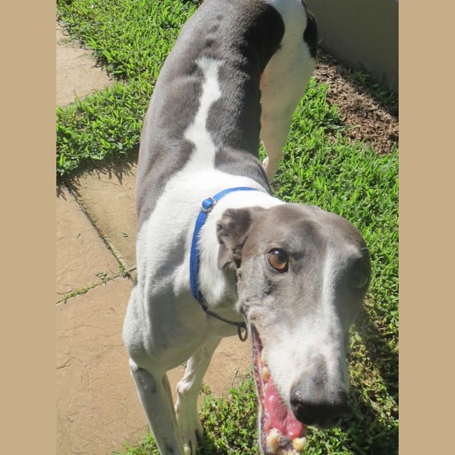 Photo of Bruce Willis Is Checking Out His New Home