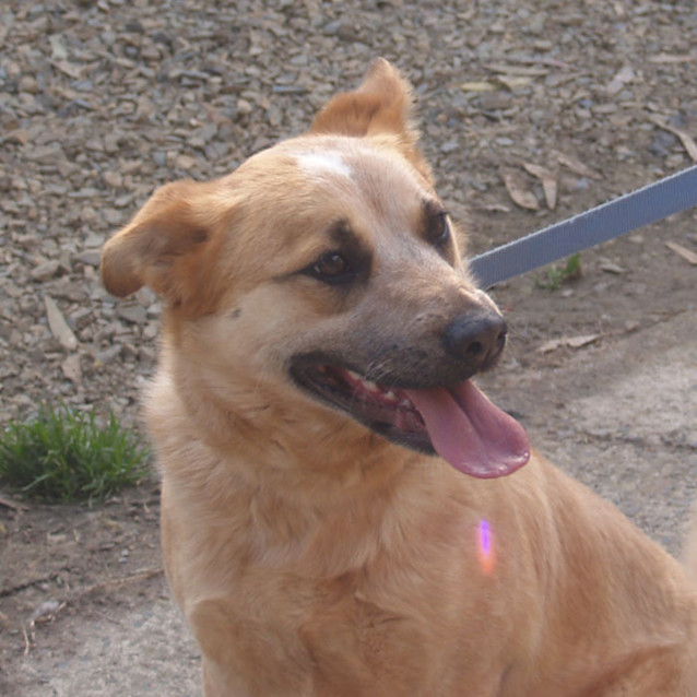 Photo of Roxy