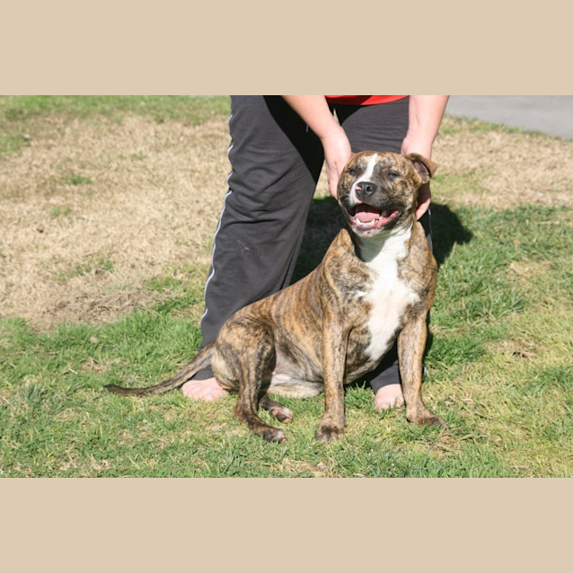 Photo of Zulu