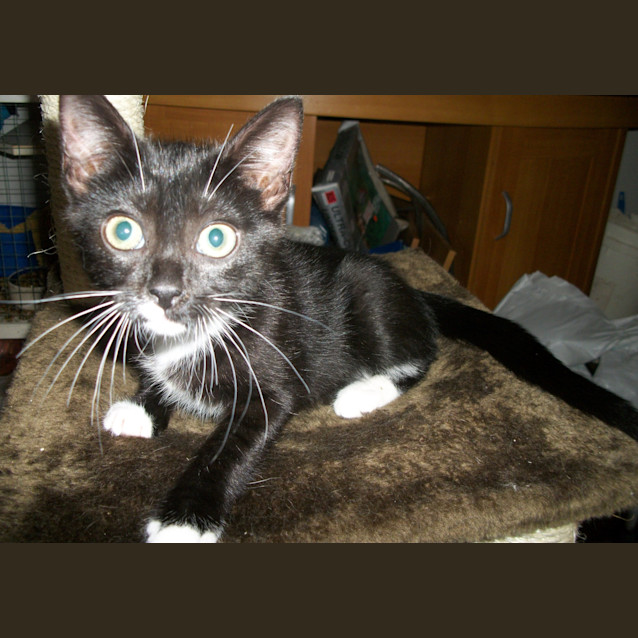Photo of Mindi