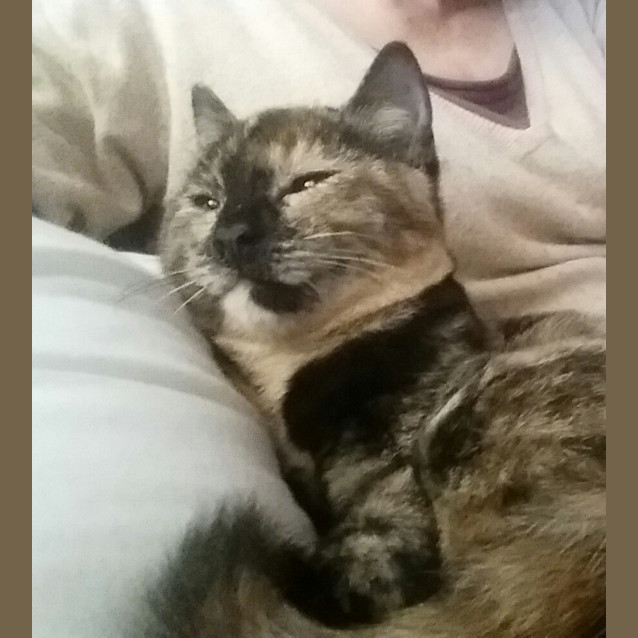 Photo of Beautiful Bella!