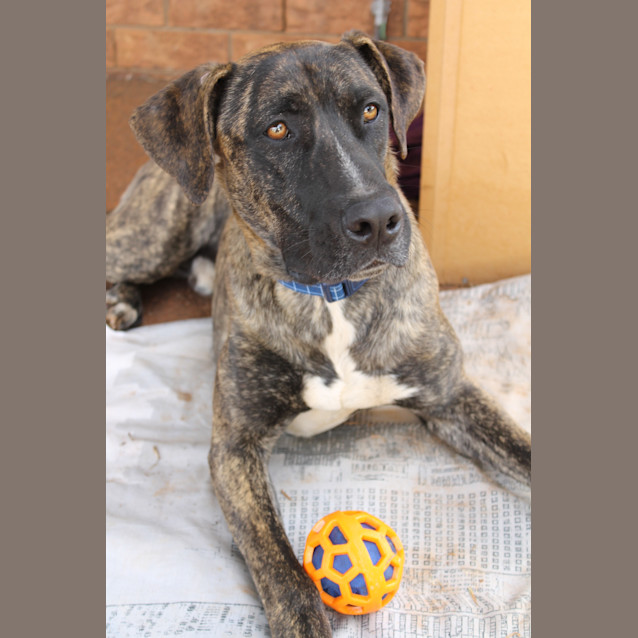 Photo of Duke