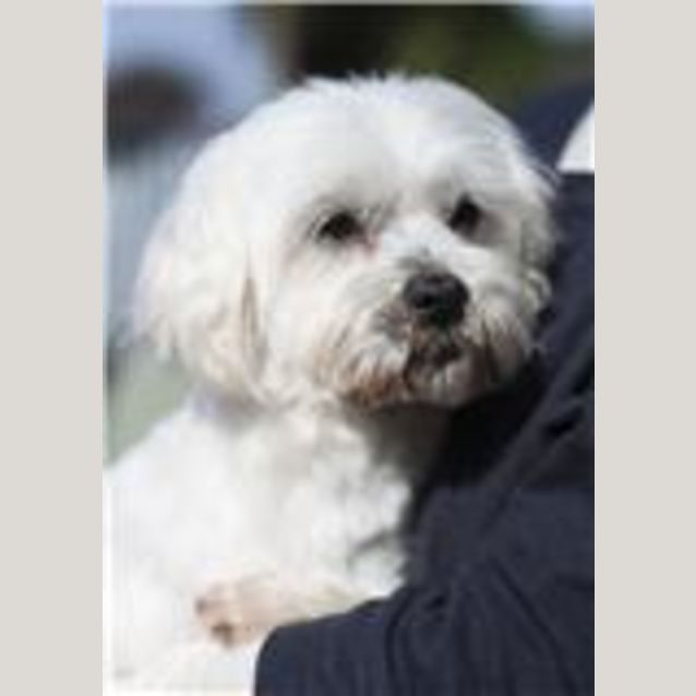 Photo of Buffy