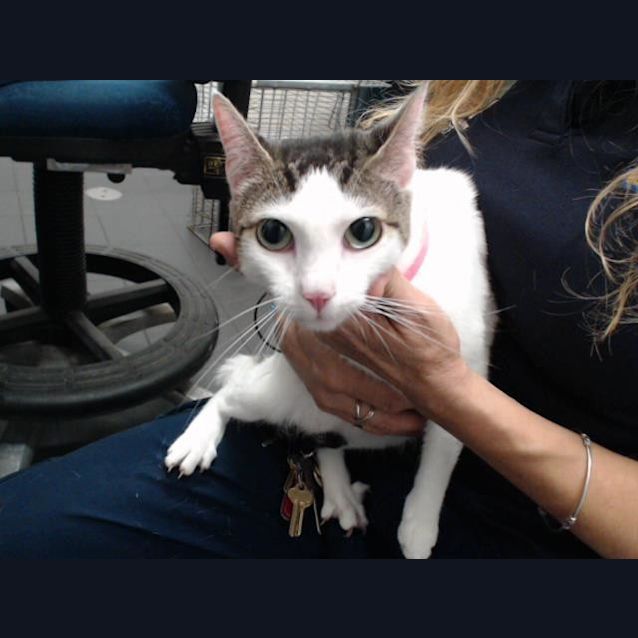 Photo of Delilah (1684)