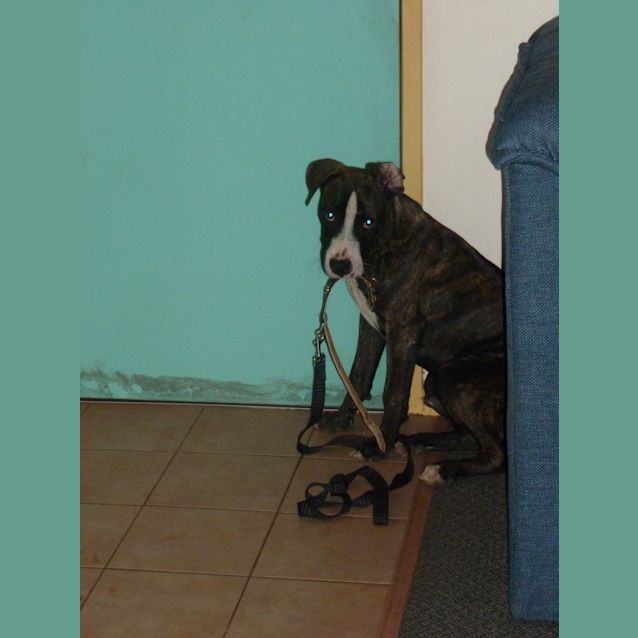 Photo of Boots