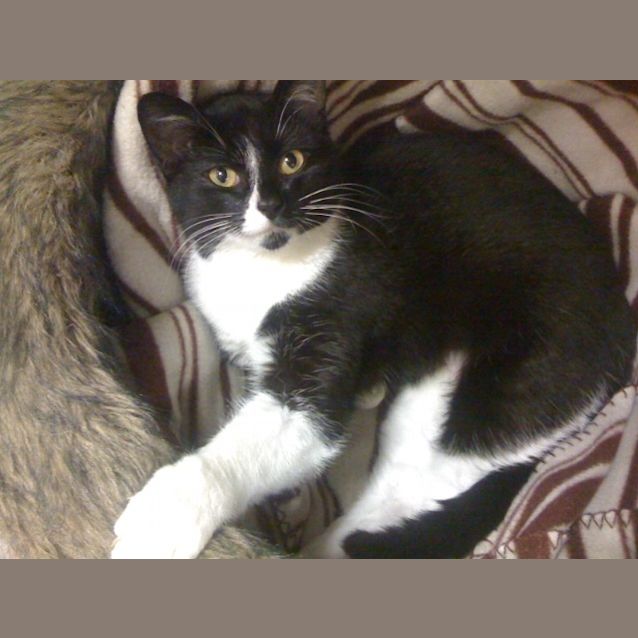 Photo of Tux
