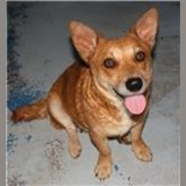 Photo of Daisy