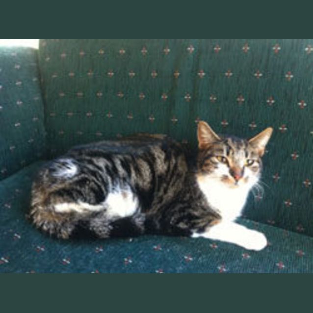 Photo of Spice