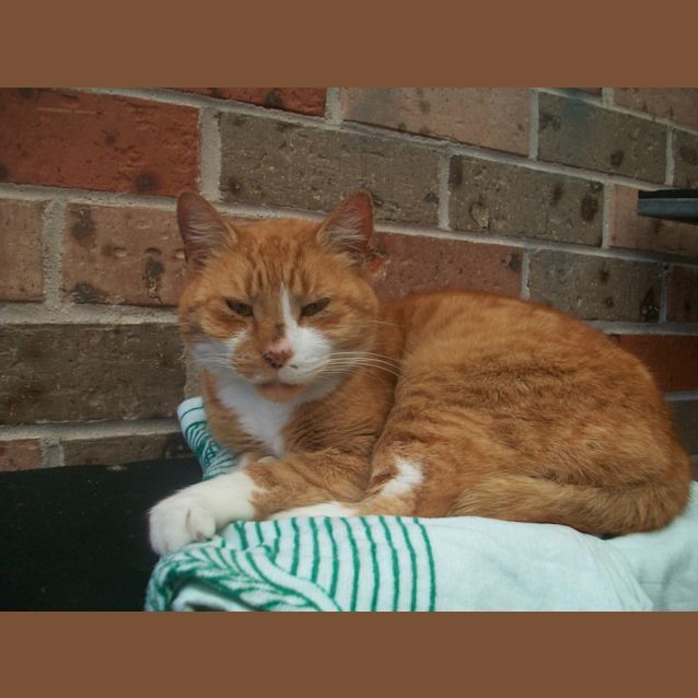 Photo of Big J