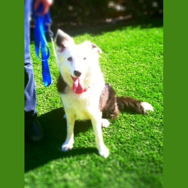 Photo of Lucy