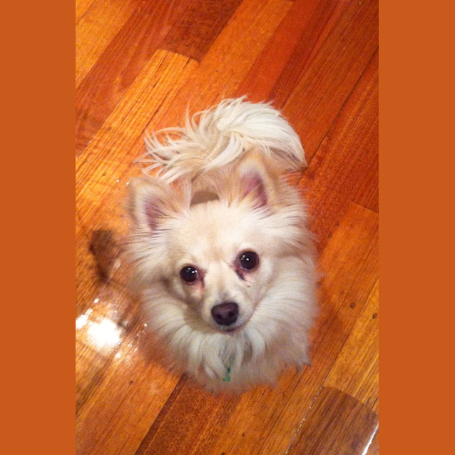 Photo of Ella
