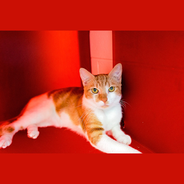Photo of Williem