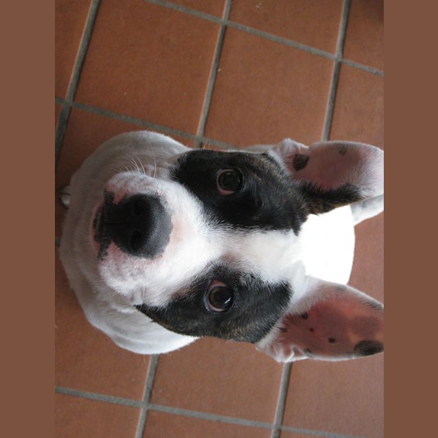 Photo of Charlie