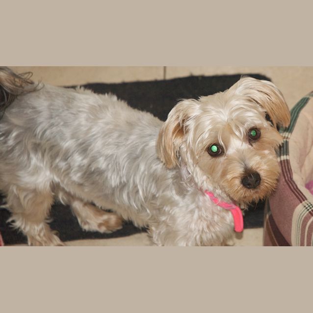 Photo of Rosie