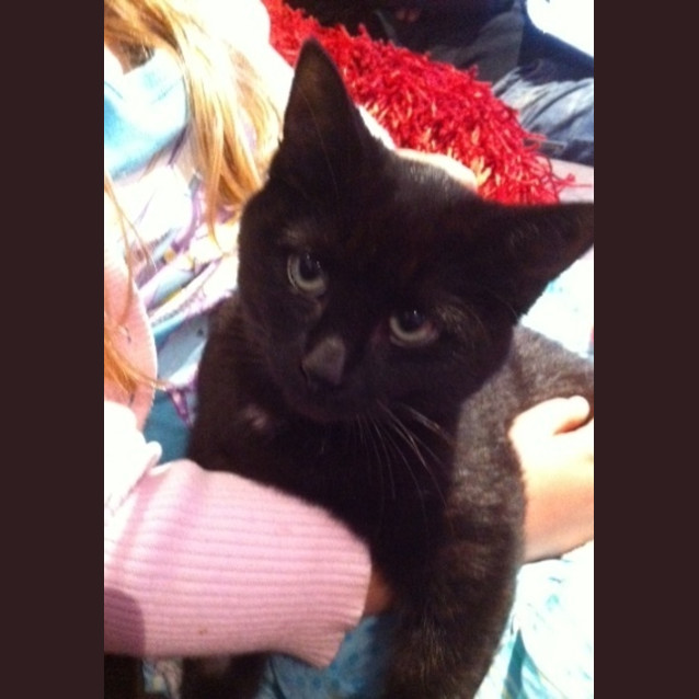 Photo of Ash