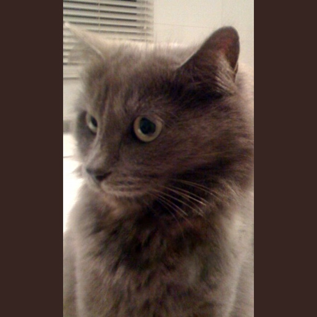 Photo of Abbey