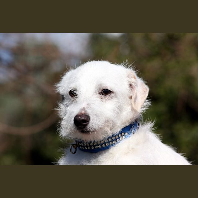 Photo of Bentleigh