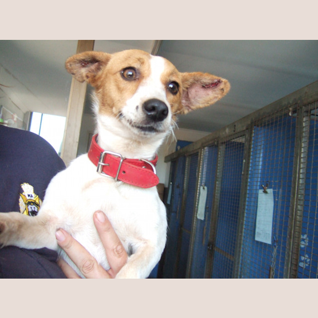 Photo of Dotty