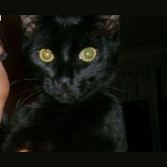 Photo of Monster