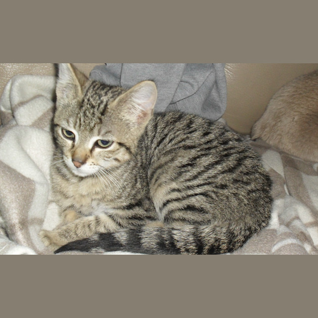 Photo of Timmy