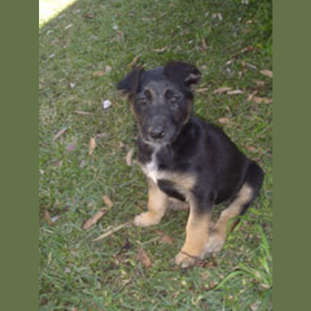 Photo of Tully